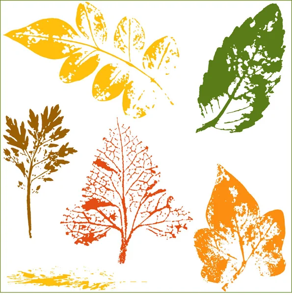 Vector ramas y hojas. Elementos florales hechos a mano. Ilustraciones botánicas vintage. — Vector de stock