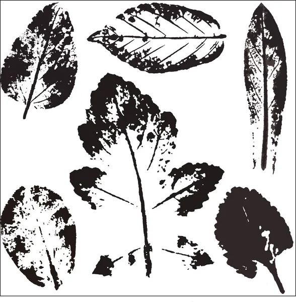 Rami vettoriali e foglie. Elementi floreali disegnati a mano. Illustrazione botanica monocromatica vintage. Timbro di foglie nere su sfondo bianco.Elementi per loghi eco e bio . — Vettoriale Stock