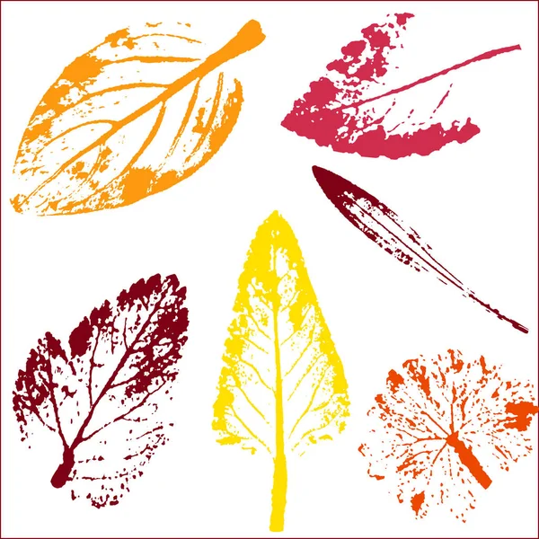 Векторные ветви и листья. Винтажная ботаническая иллюстрация . — стоковый вектор