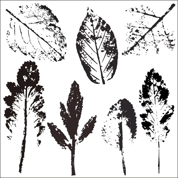 向量枝和叶。手工绘制的花元素。老式植物学插图。在白色背景上的多色叶子的邮票。生态和生物标志元素. — 图库矢量图片