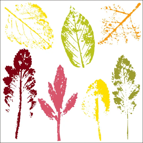 Rami vettoriali e foglie. Elementi floreali disegnati a mano. Illustrazione botanica d'annata Timbro di foglie multicolori su sfondo bianco.Elementi per loghi eco e bio . — Vettoriale Stock