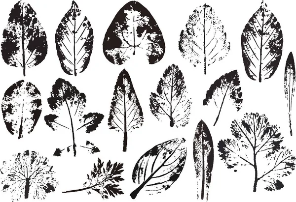Rami vettoriali e foglie. Elementi floreali disegnati a mano. Illustrazione botanica d'annata Elementi per loghi ecologici e bio . — Vettoriale Stock