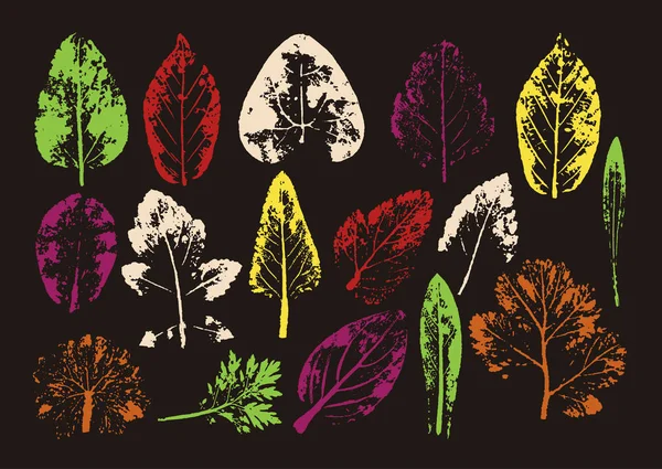 向量枝和叶。手工绘制的花元素。老式植物学插图。生态和生物标志元素. — 图库矢量图片