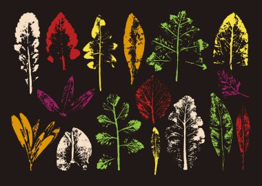 Vektör dalları ve yaprakları. Elle çizilmiş çiçek öğeleri. Vintage botanik illüstrasyon. Eko ve biyografi logolar için öğeleri.