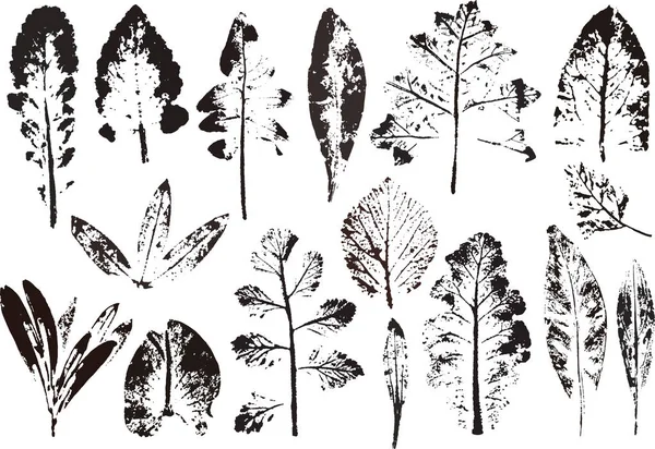 Branches et feuilles vectorielles.Eléments floraux dessinés à la main. Illustration botanique vintage Éléments pour logos écologiques et bio . — Image vectorielle