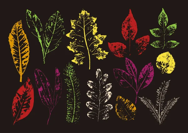 Vektör dalları ve yaprakları. Elle çizilmiş çiçek öğeleri. Vintage botanik illüstrasyon. Eko ve biyografi logolar için öğeleri. — Stok Vektör