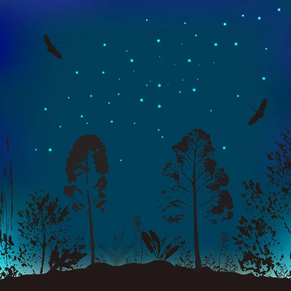 Illustration vectorielle de la faune. Le fond du ciel du soir, les arbres et les oiseaux volants . — Image vectorielle