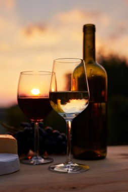 Düşük anahtar görüntü, iki bardak şarap