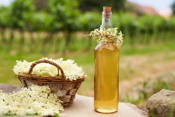 Σπιτικό elderflower σιρόπι σε ένα μπουκάλι — Φωτογραφία Αρχείου