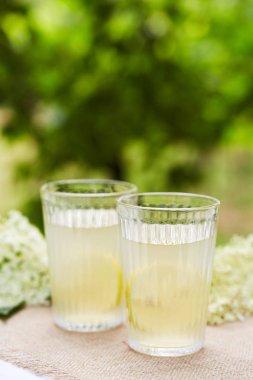 İki bardak taze elderflower suyu ile