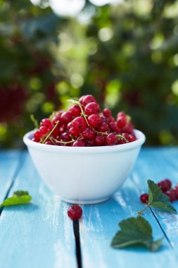 ahşap bir masa üzerinde kırmızı kuş üzümü