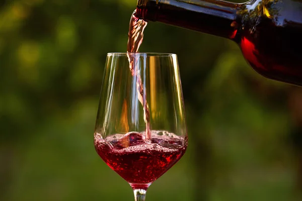 Pouring red wine into glass — Stock Photo, Image