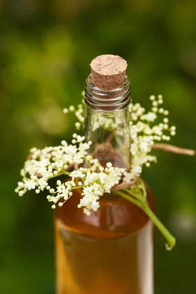 Xarope de sabugueiro caseiro em uma garrafa com flores de sabugueiro — Fotografia de Stock
