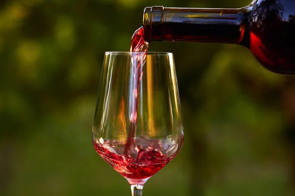 Pouring red wine into glass — Stock Photo, Image