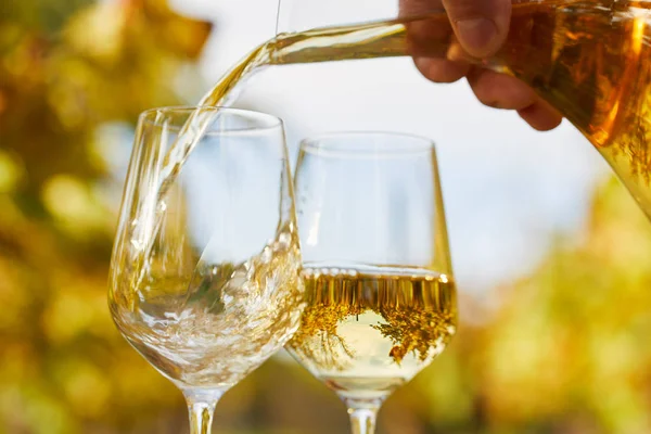 Despejando Vinho Branco Copos Dia Outono Foco Suave — Fotografia de Stock