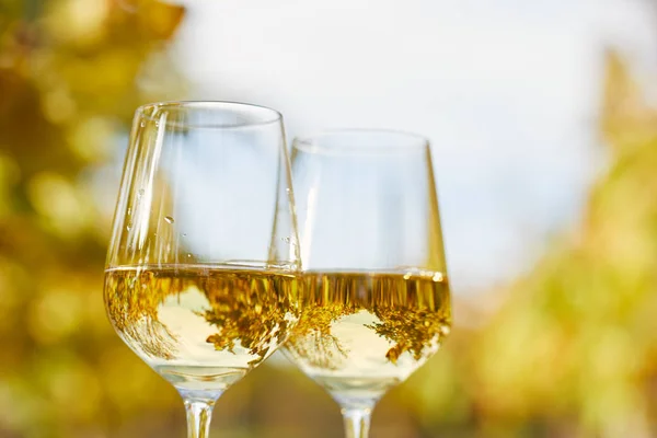 Δύο Ποτήρια Γεμάτα Λευκό Κρασί Φθινόπωρο — Φωτογραφία Αρχείου