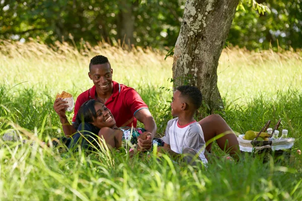 Familjen på picknick i stadsparken — Stockfoto