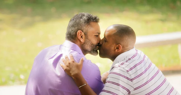 Kiss And Love Between Gay Couple In Park — Stock Photo, Image