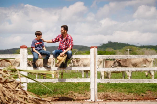 Pai e filho felizes sorrindo na fazenda com vacas — Fotografia de Stock