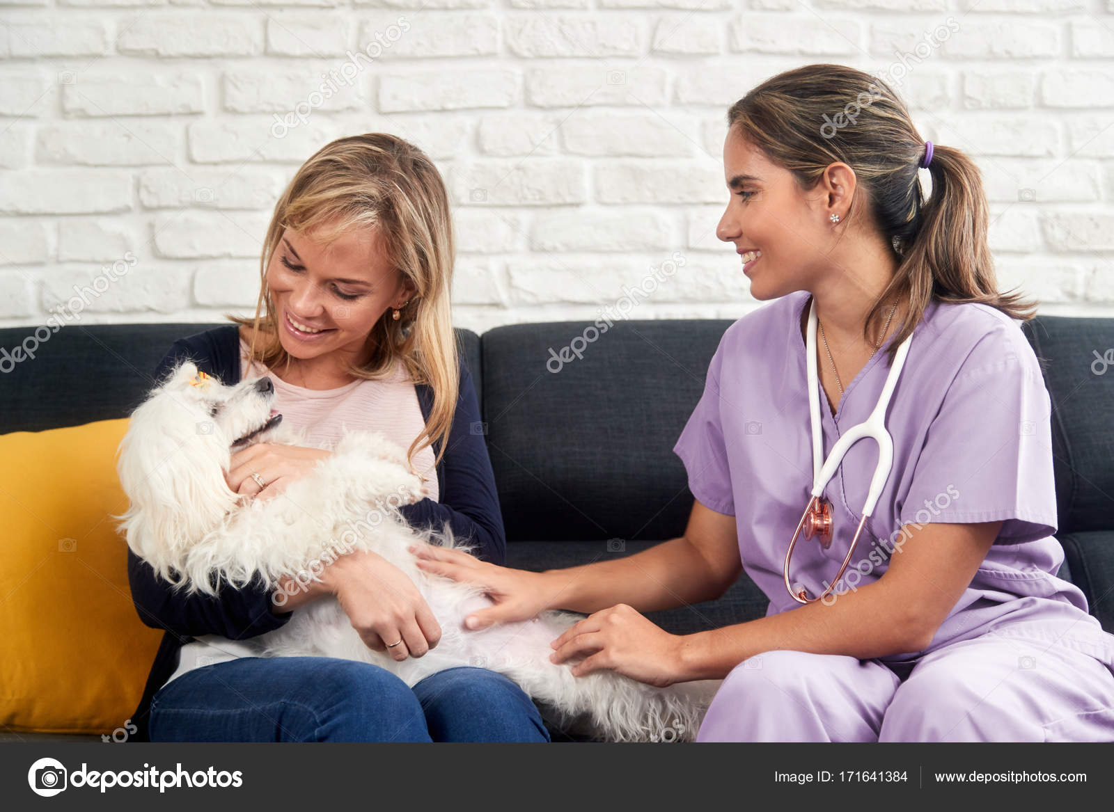 Veterinarian House Call With Doctor Dog Owner And Animal Stock Photo by ©diego_cervo 171641384 Veterinarian House Call With Doctor Dog Owner And Animal Stock Photo by ©diego_cervo 171641384