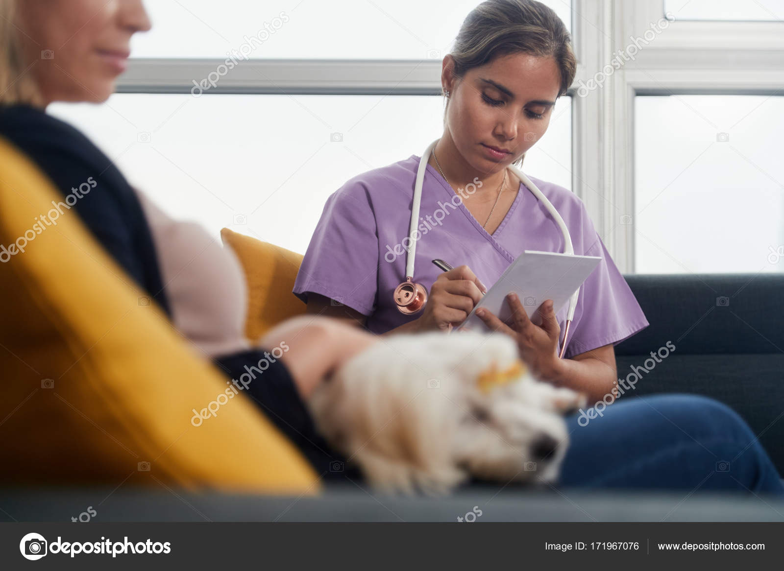 Young Vet Talking To Dog Owner During Home Visit Stock Photo by ©diego_cervo 171967076 Young Vet Talking To Dog Owner During Home Visit Stock Photo by ©diego_cervo 171967076