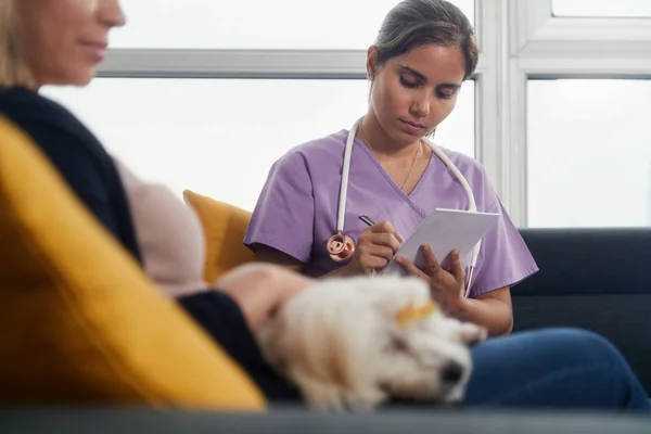 Ung veterinär prata hund ägare under hembesök — Stockfoto