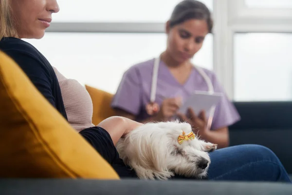 Ung veterinär prata hund ägare under hembesök — Stockfoto