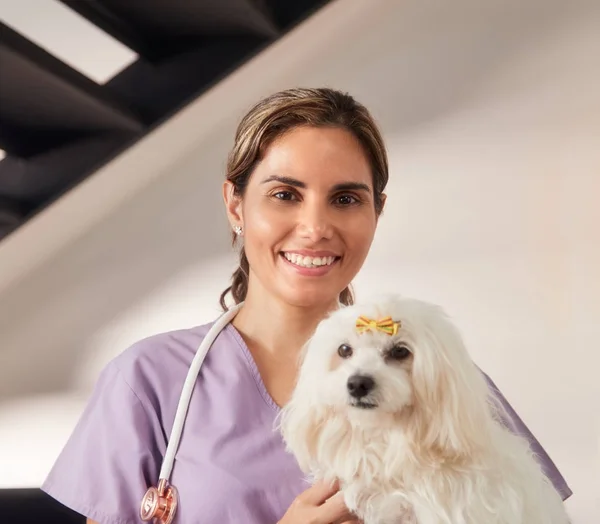 Portræt af glad Vet smilende på kamera med hund - Stock-foto