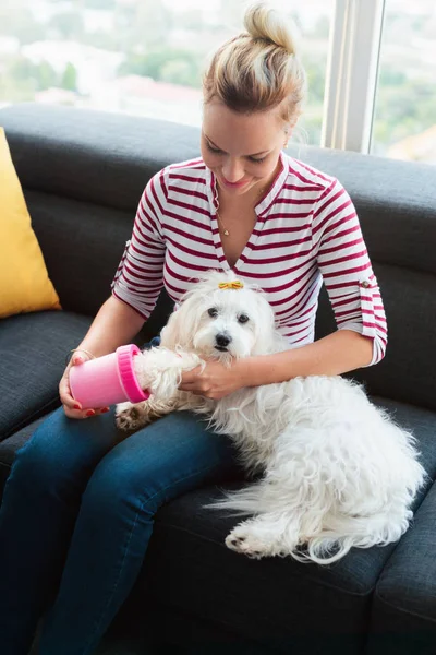 Собака власник прибирання лапи для маленького домашнього улюбленця — стокове фото