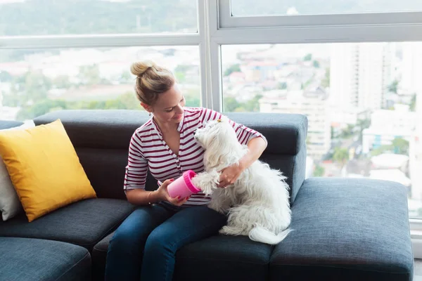 Dueño del perro limpiando las patas a la pequeña mascota en casa —  Fotos de Stock