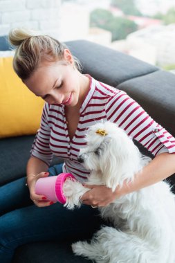 Küçük evde beslenen hayvan için evde temizlik köpek sahibi Paws