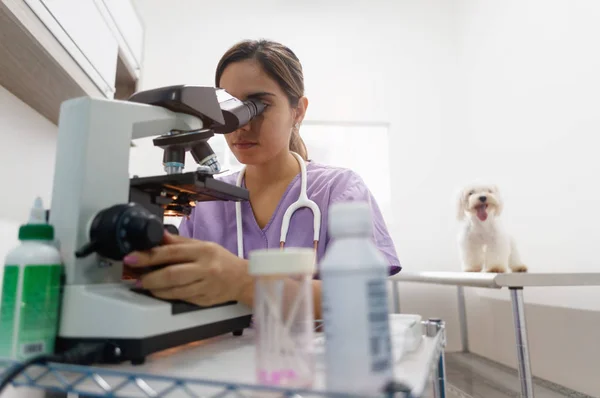 Personal de la clínica con la mujer que trabaja como veterinario en la tienda de mascotas —  Fotos de Stock