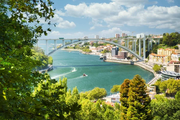 Vista del río Duero de Oporto y el puente de Arrabida — Foto de Stock