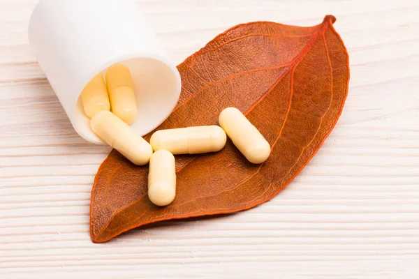 Medicina alternativa con una sola hoja naranja —  Fotos de Stock