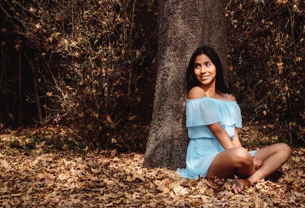 Tan Bonito Que Sentarse Orilla Gran Árbol Bosque Dentro Ciudad — Foto de Stock