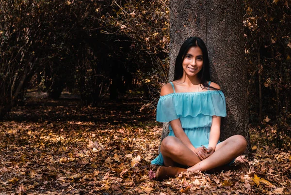 Tan Bonito Que Sentarse Orilla Gran Árbol Bosque Dentro Ciudad — Foto de Stock