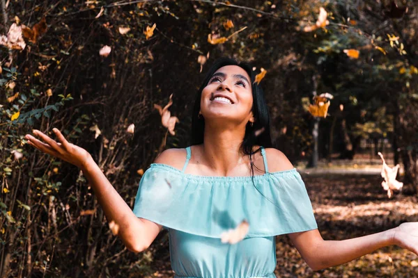 İşte böyle, işte böyle, işte böyle, işte böyle, işte böyle, işte böyle. Asi las cosas en un pequenio bosque dentro de la ciudad de Mexico en los viveros de Coyoacan.