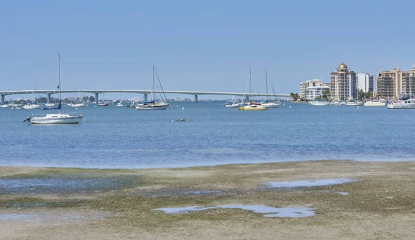 Λιμάνι Sarasota, Φλώριδα — Φωτογραφία Αρχείου