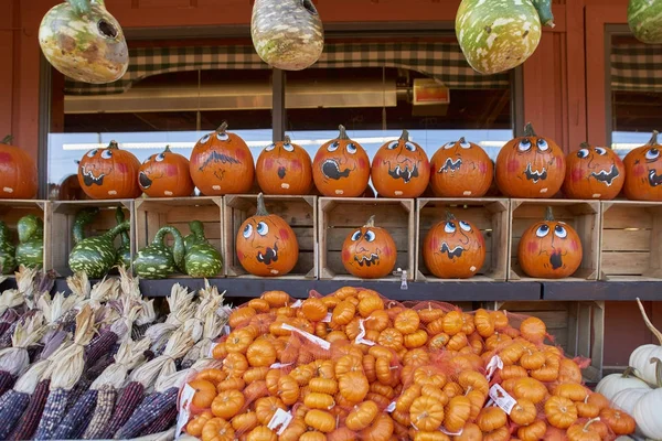 Abóboras - Gourds para o Festival de Halloween — Fotografia de Stock