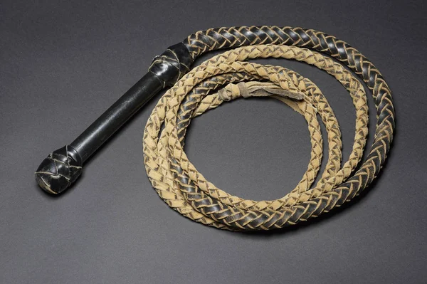 Coiled leather bull whip — Stock Photo, Image