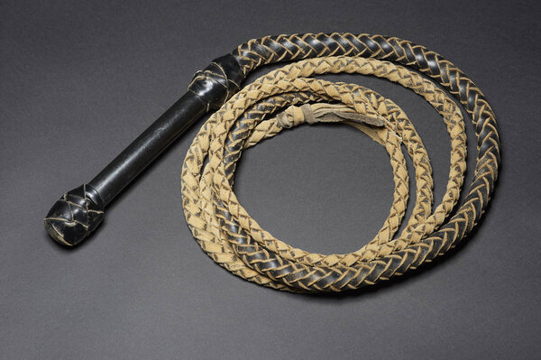coiled leather bull whip