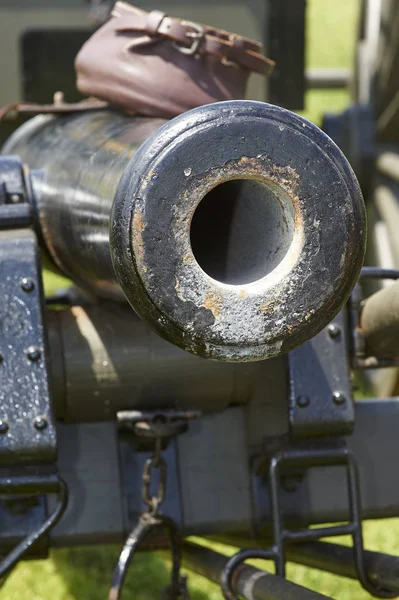 Civil war cannon — Stock Photo, Image