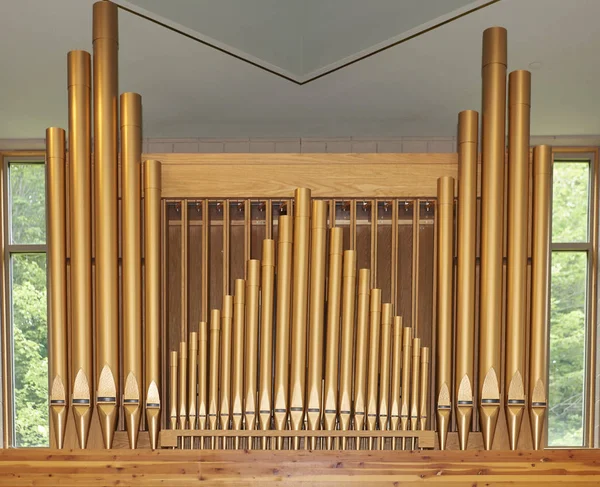 Katolik Kilisesi organ borular