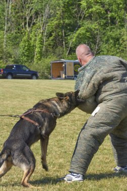 K9 polis köpeği ve Memur