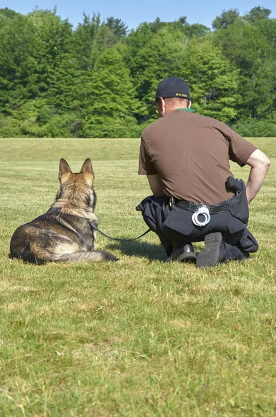 Polishund Och Officer — Stockfoto