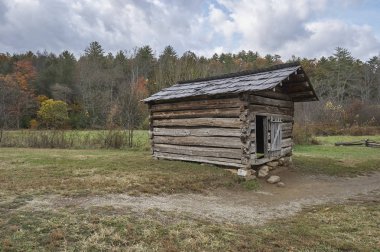 Büyük Smoky dağ Milli Parkı. Tennessee ABD 