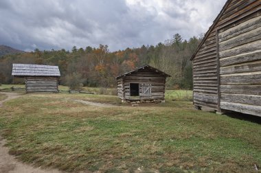Büyük Smoky dağ Milli Parkı. Tennessee ABD 