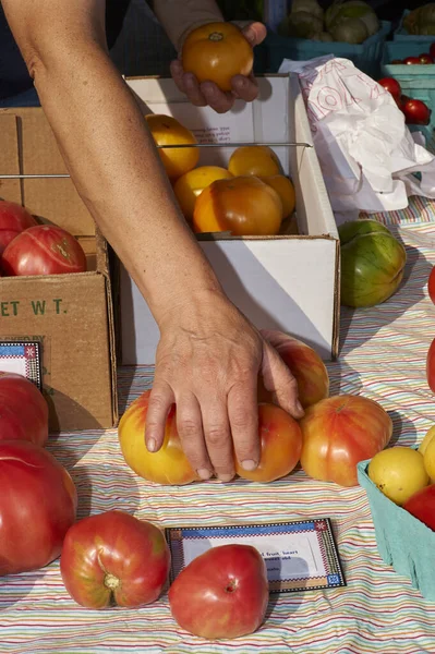 Mercato Strada Mano Disponendo Pomodori Sul Tavolo — Foto Stock