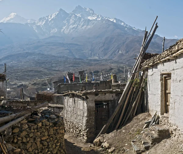 Nepal Himalaya Mustang — Stockfoto