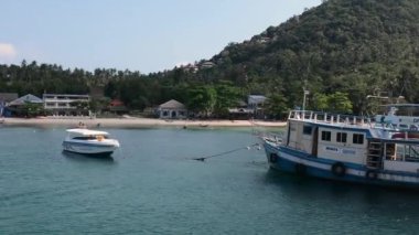 Chiang Mai tatil çiçek çiçekler orkide, renkli, insanlar. dans, çocuk, geçit.2 february2018 geçit töreni